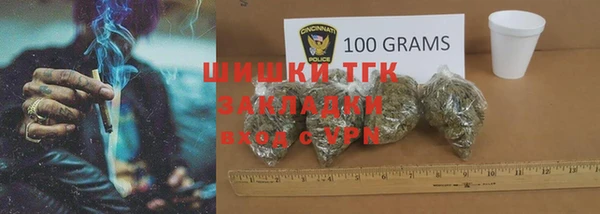 хмурый Михайловск