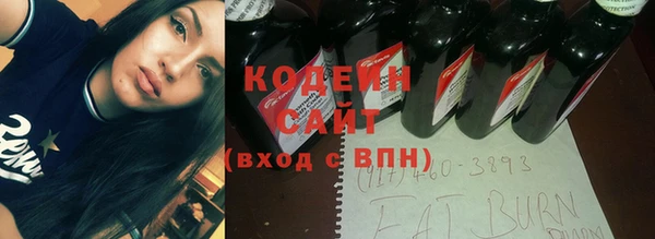 хмурый Михайловск