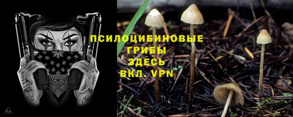 прущая мука Михайловка