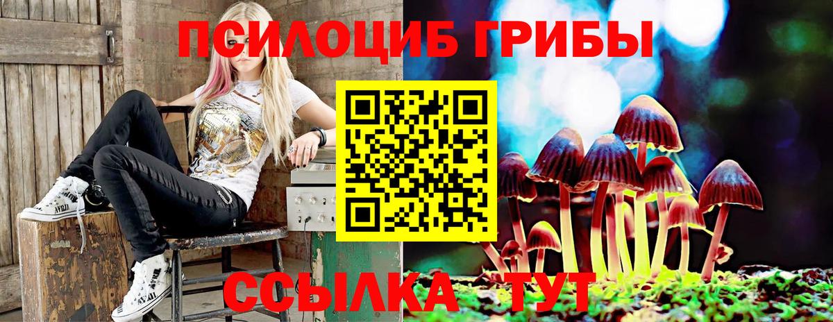 Псилоцибиновые грибы ЛСД Георгиевск