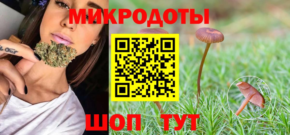 Галлюциногенные грибы Cubensis  Георгиевск  Галлюциногенные грибы Cubensis 