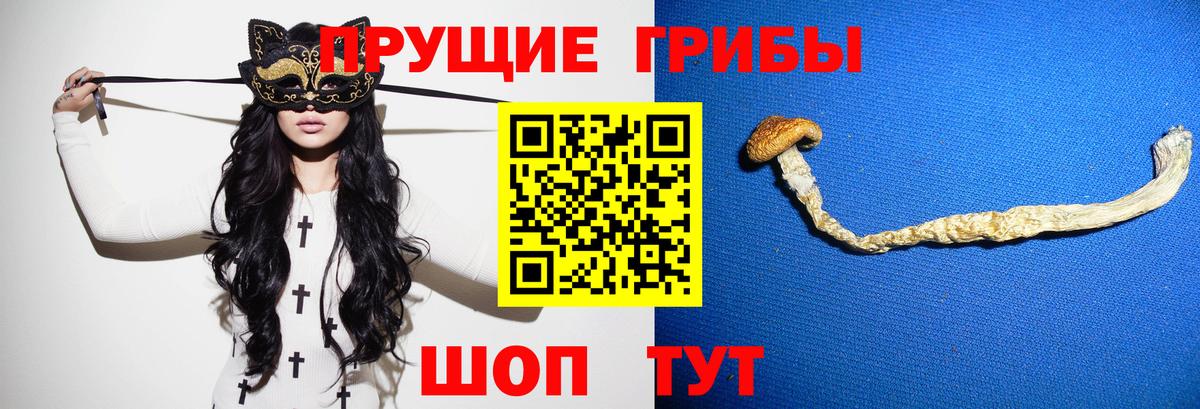 Георгиевск  Галлюциногенные грибы мухоморы  купить  сайты  Вход с VPN 