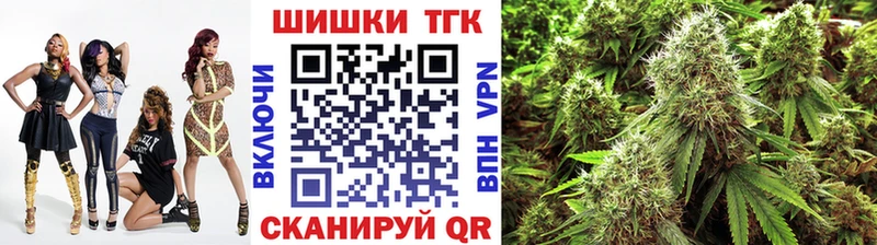 Бошки марихуана сатива  Георгиевск 